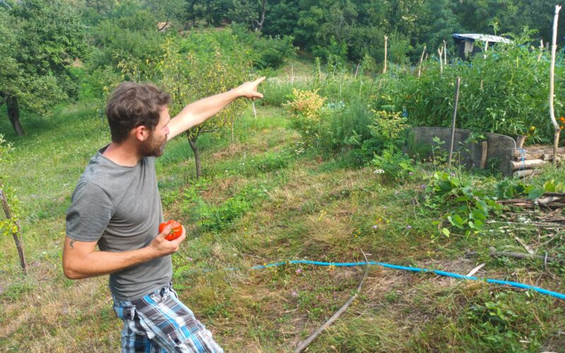 Ferma situată pe un versant din Șimleu Silvaniei devine un paradis al turismului ecologic, cu liste de așteptare din Germania, Franța, Olanda sau Argentina.