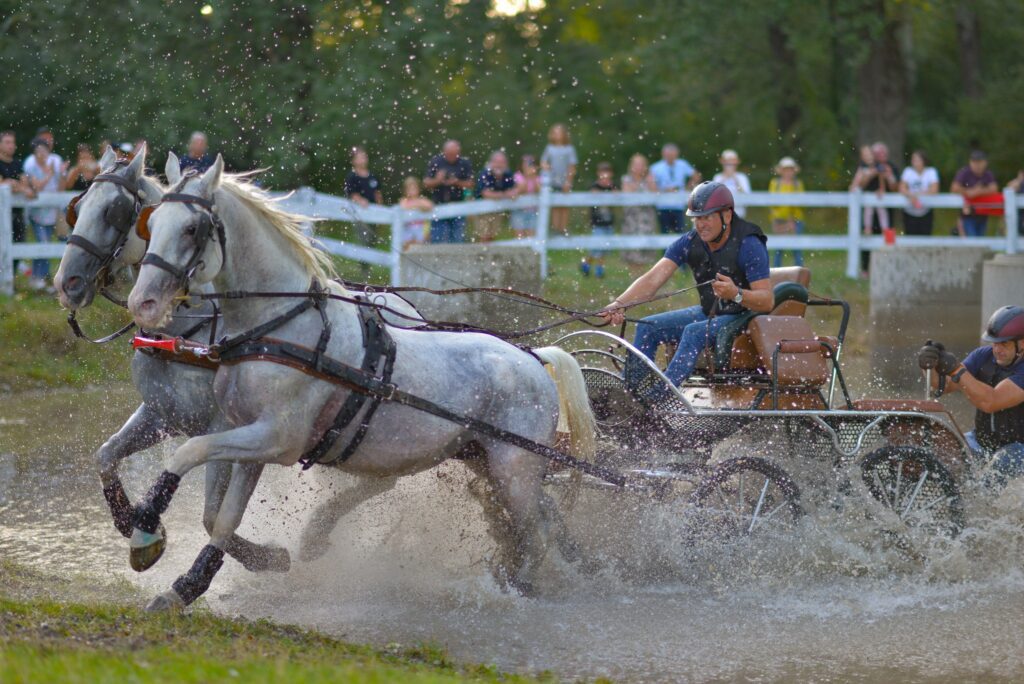 Spania este marea câștigătoare a categoriei de 4* a Concursului Complet Internațional Karpatia Horse Show, ce a avut loc între 22-24 septembrie, pe Domeniul Cantacuzino din Florești, Prahova prin cuplul călăreț-cal, Carlos Diaz Ferandez și Toraje.
