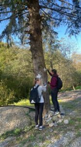 Traseul a fost marcat de angajații centrului de inginerie Bosch din Cluj alături de angajații și voluntarii Serviciului Public Județean Salvamont - Salvaspeo Cluj, instituție de interes județean subordonată Consiliului Județean (CJ).
