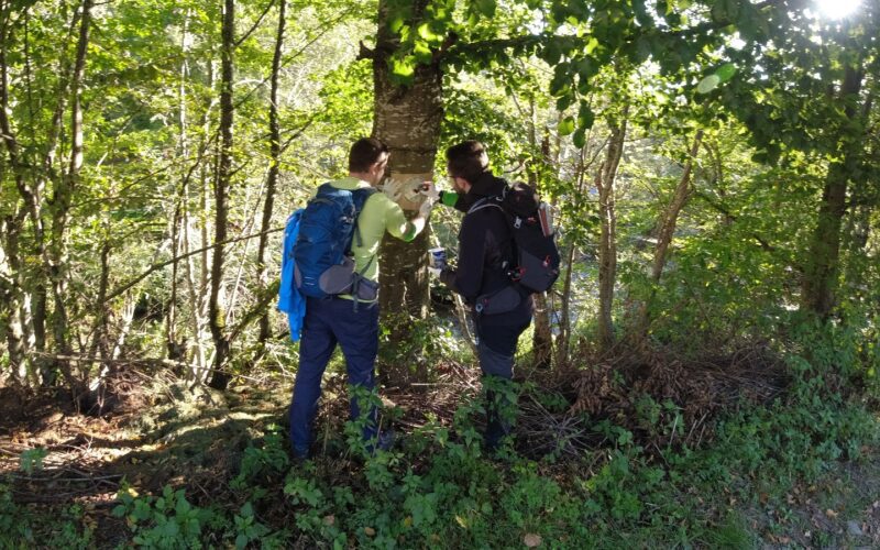 Traseul a fost marcat de angajații centrului de inginerie Bosch din Cluj alături de angajații și voluntarii Serviciului Public Județean Salvamont - Salvaspeo Cluj, instituție de interes județean subordonată Consiliului Județean (CJ).