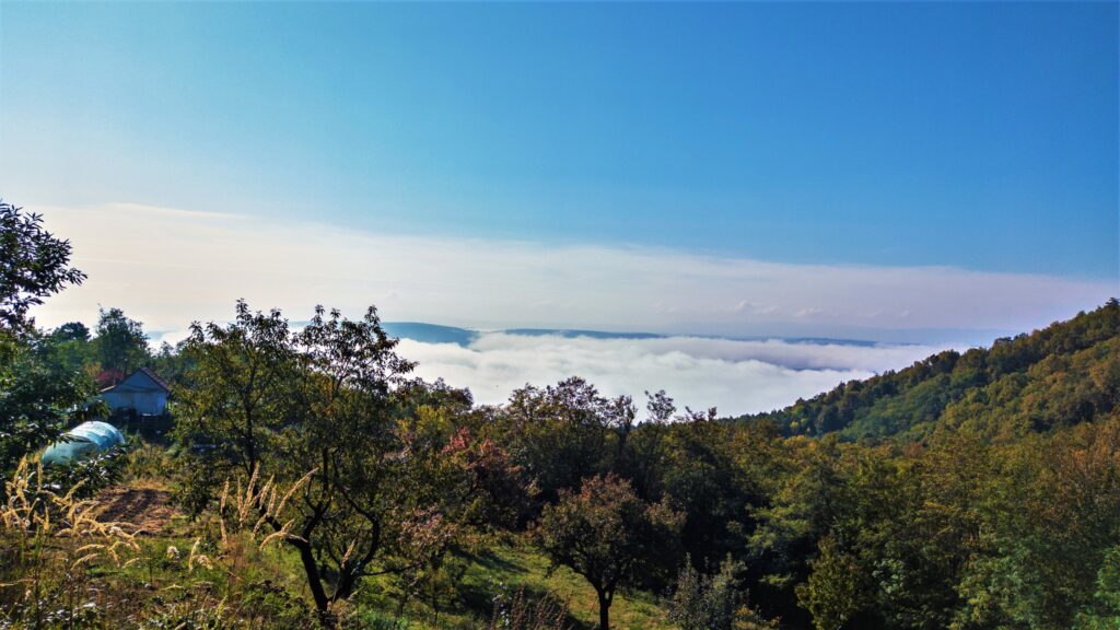 Ferma situată pe un versant din Șimleu Silvaniei devine un paradis al turismului ecologic, cu liste de așteptare din Germania, Franța, Olanda sau Argentina.