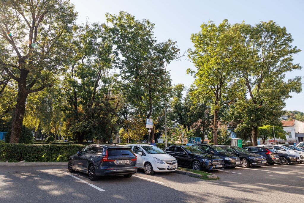 Municipalitatea clujeană demarează, în weekend, lucrările de la Parcul Caragiale, prin descoperirea Canalului Morii. Odată cu debutul șantierului, din 13 octombrie, vor fi desființate și locurile de parcare de pe str. G. Barițiu (16) și O. Petrovici (23), în fața Palatului Telefoanelor.