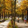 Proiectul european pentru malurile Someșului, pe 146.500 mp, intră în faza de recepție în noiembrie. Acesta este rezultatul unui concurs internațional de soluţii derulat de Primăria Cluj-Napoca (PCN) și Ordinul Arhitecţilor din România.