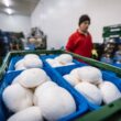Boglar Champ și-a mărit suprafața de producție ca să poată crește producția în funcție de comenzi, dar a achiziționat și firma ungară, un pas important în asigurarea de materia primă necesară