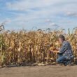 Aon România, unul dintre liderii globali în brokerajul de asigurări, organizează în 16 noiembrie evenimentul „Provocările climei în agricultură”, la InterContinental Athenee Palace Bucharest.