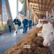 La vizita de la Fermele Ecologice Silvania (FES) au participat europarlamentarii Dacian Cioloș, Alin Mituța, deputatul Alin Prunean.