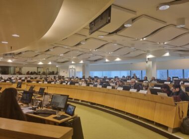 Evenimentul final al proiectului pilot "Regions 2030: monitorizarea obiectivelor de dezvoltare durabilă (ODD) în regiunile UE – reducerea decalajelor de date" a fost coordonat de Centrul Comun de Cercetare al Comisiei Europene (JRC), în colaborare cu DG Regio și Eurostat.