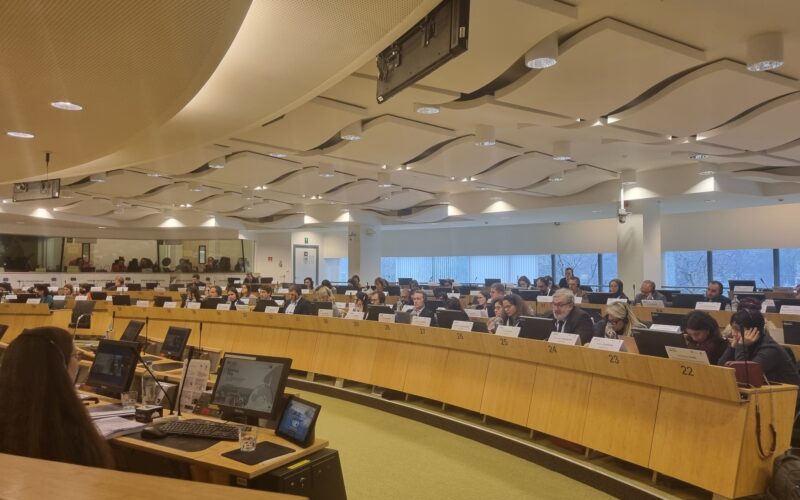 Evenimentul final al proiectului pilot "Regions 2030: monitorizarea obiectivelor de dezvoltare durabilă (ODD) în regiunile UE – reducerea decalajelor de date" a fost coordonat de Centrul Comun de Cercetare al Comisiei Europene (JRC), în colaborare cu DG Regio și Eurostat.