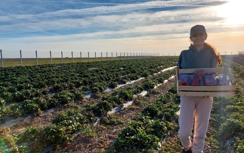 Elena-Larisa Naie Stoicescu, o fermieră din Buzoesti, satul Buzoesti (județul Argeș), și-a extins semnificativ plantația de căpșuni prin proiectul Sunshine Berries, susținut de compania internațională agricolă Corteva Agriscience.