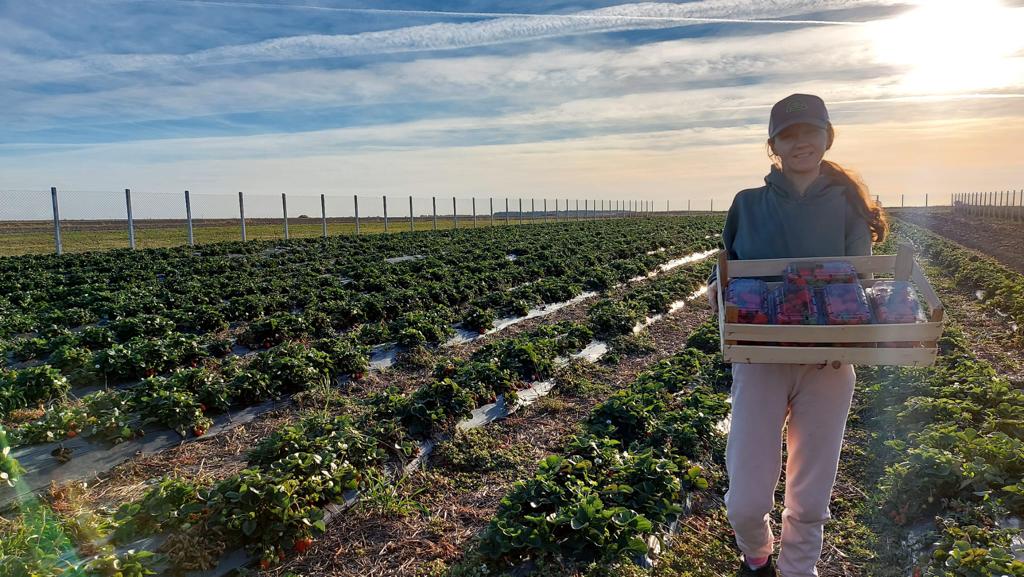 Elena-Larisa Naie Stoicescu, o fermieră din Buzoesti, satul Buzoesti (județul Argeș), și-a extins semnificativ plantația de căpșuni prin proiectul Sunshine Berries, susținut de compania internațională agricolă Corteva Agriscience.