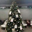 Angajații UBC Cluj și Iulius Mall au adus zâmbete pe chipurile a peste 90 de copii din medii defavorizate din proximitatea Clujului. 