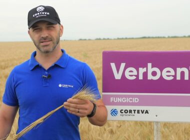 Verben este un fungicid unic si puternic, special creat și lansat de Corteva Agriscience pentru a asigura protecția cerealelor încă de la primul tratament din primăvară. 