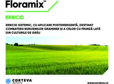 Schimbările climatice pot fi combătute doar prin asimilarea unor bune practici sustenabile, care să ducă la creșterea productivității și o îmbunătățire a nivelului productiv al culturilor.