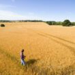 Aceasta introduce, în 2024, o nouă categorie de produse biologice, o acțiune posibilă după achiziționarea companiilor Stoller și Symborg, mișcare ce marchează un moment important în agricultura sustenabilă pentru fermierii români și moldoveni și evidențiază angajamentul neclintit al Corteva față de inovație și practici agricole durabile.