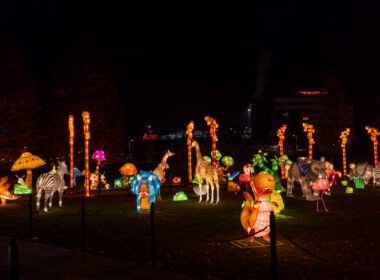 Animale, grădini cu fructe gigant, personaje din basme sunt doar câteva exemple dintre cele 170 de instalații luminoase care au cucerit spațiul din proximitatea Iulius Mall Cluj.