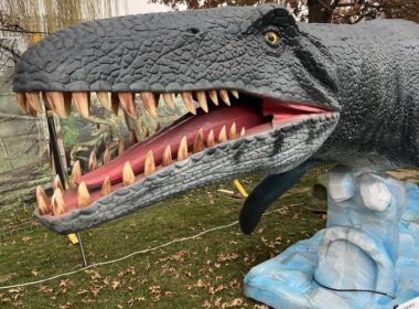 O parte dintre misterele erei mezozoice pot fi descoperite în Iulius Parc prin intermediul unei expoziții spectaculoase ce reunește animale marine gigant și dinozauri animatronici.