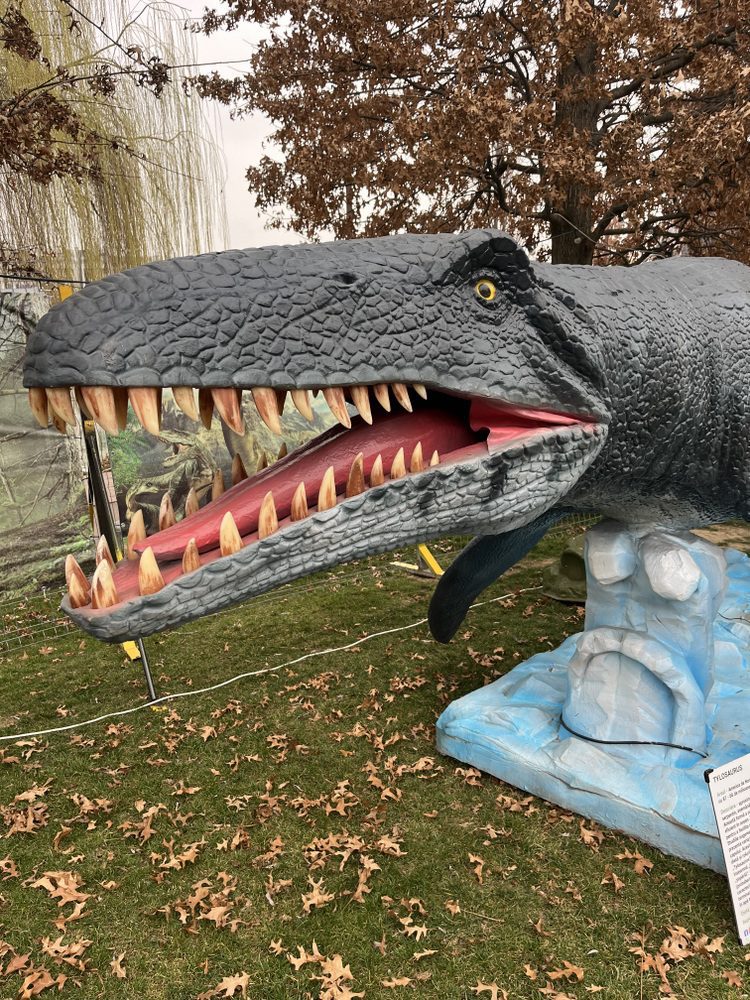 O parte dintre misterele erei mezozoice pot fi descoperite în Iulius Parc prin intermediul unei expoziții spectaculoase ce reunește animale marine gigant și dinozauri animatronici.