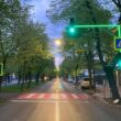 Evenimentul va fi susținute de specialiști cu o vastă experiență în domeniile arboricultură și peisagistică: Diana Culescu – doctor în arhitectura peisajului, Mihai Purcaru – arborist atestat ISA, Dan Moldovan – arborist atestat ISA / Davey Canada.