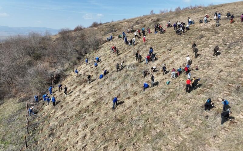 Cea dintâi acțiune de împădurire inițiată de Distribuție Energie Electrică România (DEER) a avut loc în perioada 21-26 martie, numărul de puieți plantați fiind echivalentul efectivului de angajați ai societății.