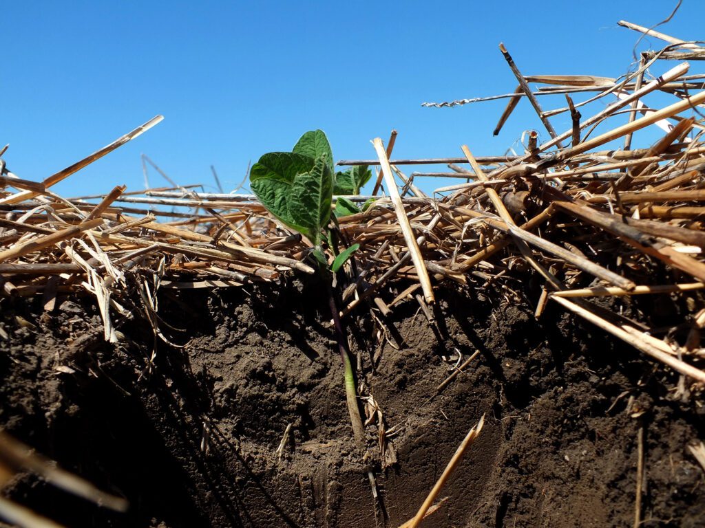 În contextul schimbărilor climatice, emisiile de gaze cu efect de seră (GES) reprezintă o preocupare majoră, cu azotul jucând un rol semnificativ în condițiile de mediu.