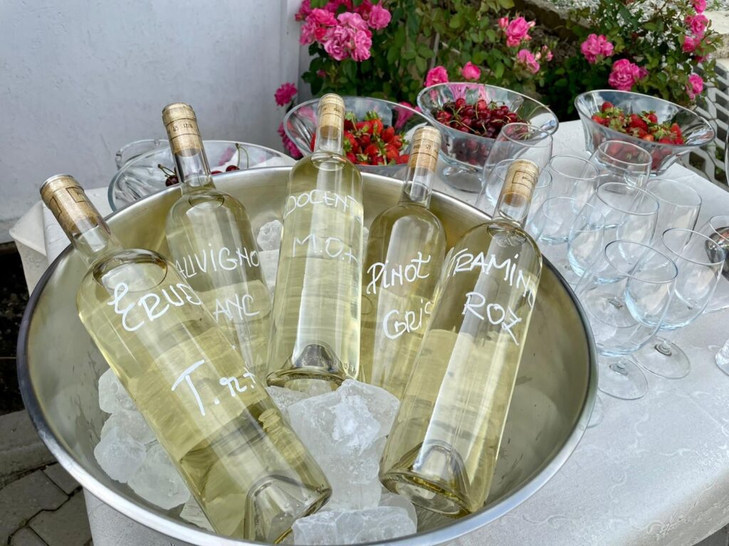 Acestea au fost distinse la CWWSC cu trei medalii: aur pentru Sauvignon Blanc Aurum Terras 2023, argint pentru Muscat Ottonel Aurum Terras 2023 și Sauvignon Blanc Aurum Terras 2022.