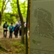 Amenajarea parcului Pădurea Făget a câștigat locul 1 la categoria reconectare cu natura la Premiile New European Bauhaus (NEB) 2024.