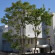 Ambulatoriul Clinic de Psihiatrie Pediatrică (ACPP) al Spitalului Clinic de Urgență pentru Copii (SCUC) a fost concretizat ca urmare a finalizării și recepționării lucrărilor realizate de constructorul ACI Cluj.