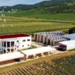 JNT Group, unul dintre cei mai mari producători, importatori și distribuitori de vinuri din Polonia, a cumpărat pachetul majoritar de 70% din Domeniile Boieru