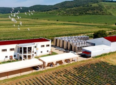 JNT Group, unul dintre cei mai mari producători, importatori și distribuitori de vinuri din Polonia, a cumpărat pachetul majoritar de 70% din Domeniile Boieru