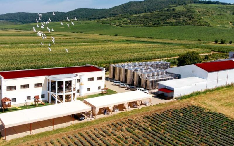 JNT Group, unul dintre cei mai mari producători, importatori și distribuitori de vinuri din Polonia, a cumpărat pachetul majoritar de 70% din Domeniile Boieru