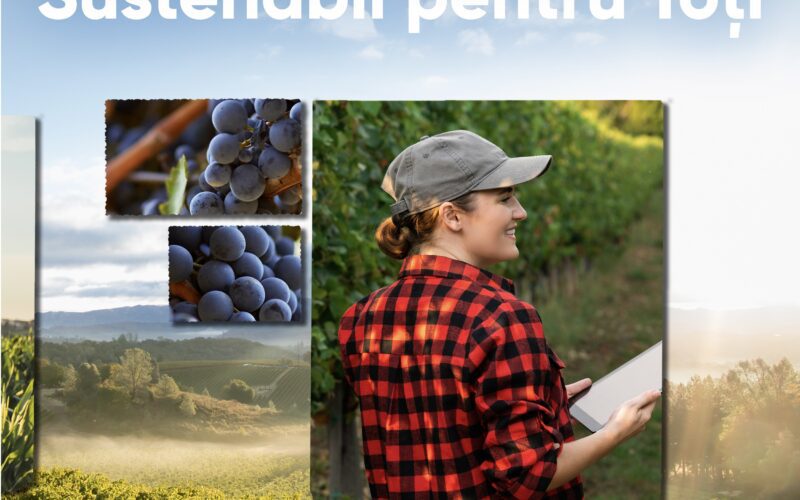 Gestionarea corespunzătoare a deșeurilor provenite din activități agricole, inclusiv a materialelor plastice din ambalajele produselor și a reziduurilor din diverse procese agricole, este esențială pentru diminuarea impactului asupra mediului.
