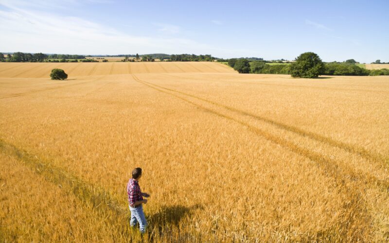 Un aspect fundamental al agriculturii este reprezentat de măsurile de combatere a dăunătorilor și a bolilor, acești factori fiind posibile cauze pentru pierderi majore de recoltă și afectarea sănătății culturilor.