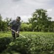 Asociația Petrus Italus Trust - Alianța pentru Patrimoniul Bistrițean (APIT-APB) anunță lansarea proiectului interdisciplinar "Castel Viu - Oamenii și munca în Posmuș", o intervenție culturală în comunitatea locală din Posmuș.