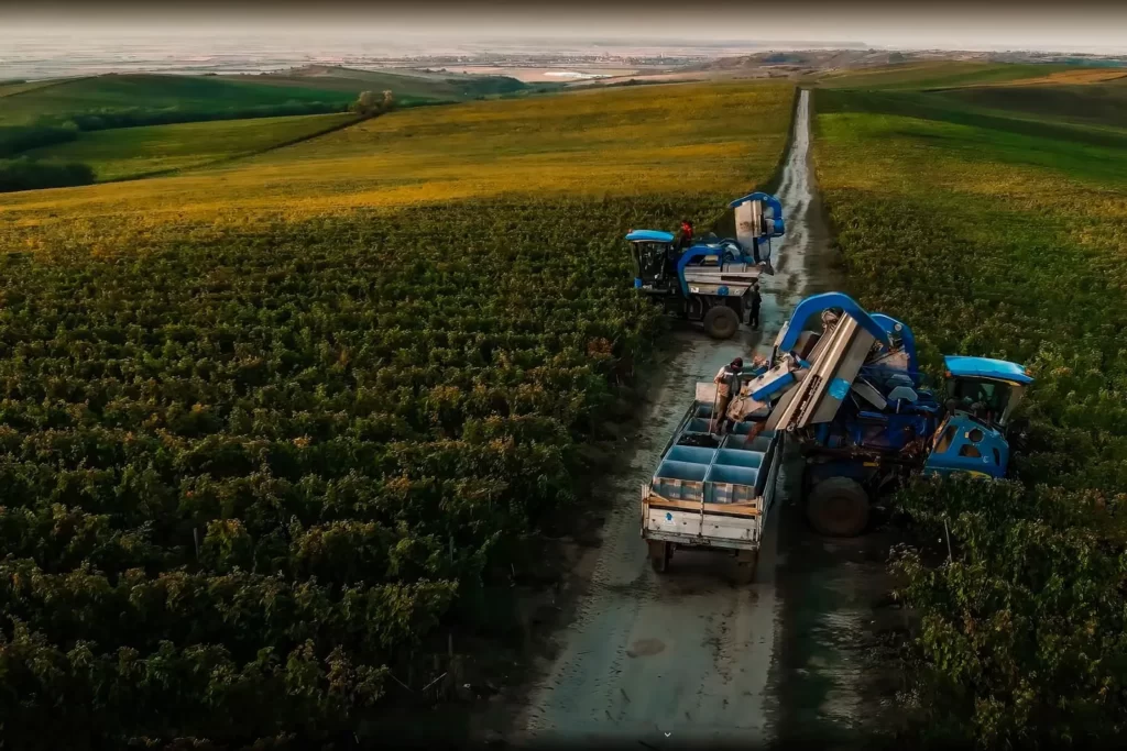 Filiala Romania Sotheby’s International Realty are în portofoliu mai multe clădiri cu funcțiuni de turism, actuale sau sugerate, din cele două provincii istorice ale României.