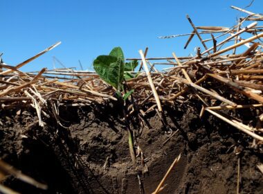 Prin adoptarea unor practici inovatoare și durabile în agricultură, fermierii pot asigura producerea de alimente nutritive și sănătoase pentru toți oamenii, în timp ce creează un ecosistem care susține în mod natural oamenii, progresul și planeta.
