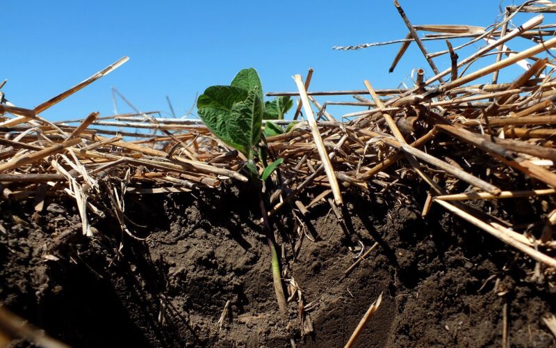 Prin adoptarea unor practici inovatoare și durabile în agricultură, fermierii pot asigura producerea de alimente nutritive și sănătoase pentru toți oamenii, în timp ce creează un ecosistem care susține în mod natural oamenii, progresul și planeta.