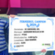 Astfel, ca în fiecare an, Corteva Agricience dă startul campaniei Fermieri campioni, o campanie ce are rolul de a evidenția modul în care hibrizii Pioneer s-au comportat sub diferite tehnologii în mai multe zone ale țării, precum și ce producții au oferit agricultorilor.