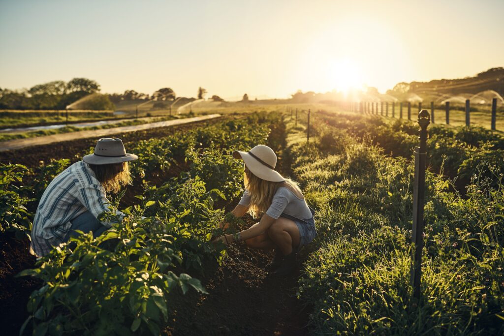 Corteva Agriscience, compania internațională de cercetare și dezvoltare în domeniul agriculturii, anunță lansarea celei de-a cincea ediții a programului său de granturi educaționale TalentA 2024.