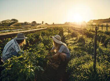 Corteva Agriscience, compania internațională de cercetare și dezvoltare în domeniul agriculturii, anunță lansarea celei de-a cincea ediții a programului său de granturi educaționale TalentA 2024.