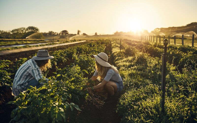 Corteva Agriscience, compania internațională de cercetare și dezvoltare în domeniul agriculturii, anunță lansarea celei de-a cincea ediții a programului său de granturi educaționale TalentA 2024.