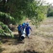 Consiliul de Administrație (CA) al companiei naționale Electrica București (ELSA) a avizat planul de investiții al filialei DEER pentru perioada 2025-2029.