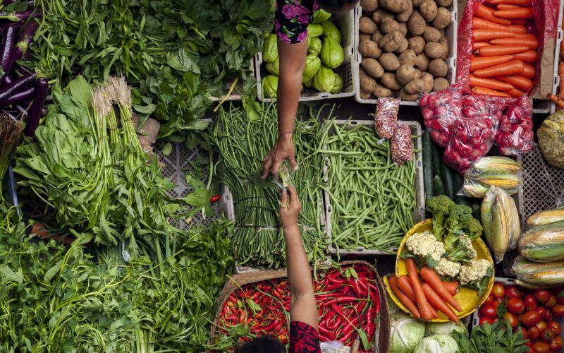 Oamenii din întreaga lume își doresc alimente de calitate, sănătoase și cultivate responsabil, iar fermierii sunt în prima linie în cultivarea recoltelor care să răspundă acestei cereri.