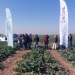 Agridrone România, start-up specializat în distribuția și consilierea pentru achiziția dronelor agricole, a fost desemnat ca importator unic al renumitei companii DJI Agriculture.
