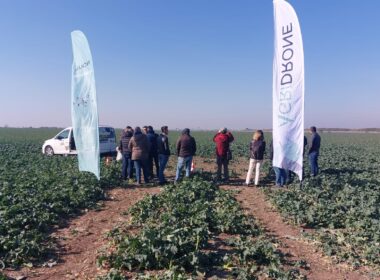Agridrone România, start-up specializat în distribuția și consilierea pentru achiziția dronelor agricole, a fost desemnat ca importator unic al renumitei companii DJI Agriculture.