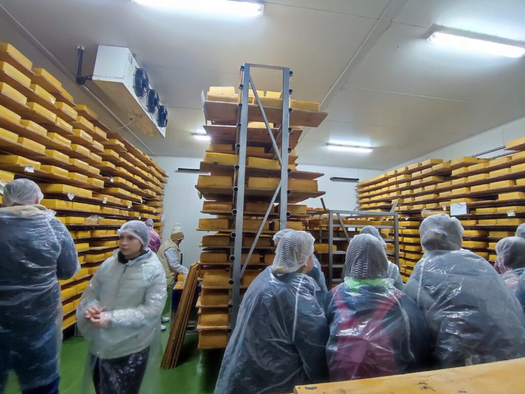 practică