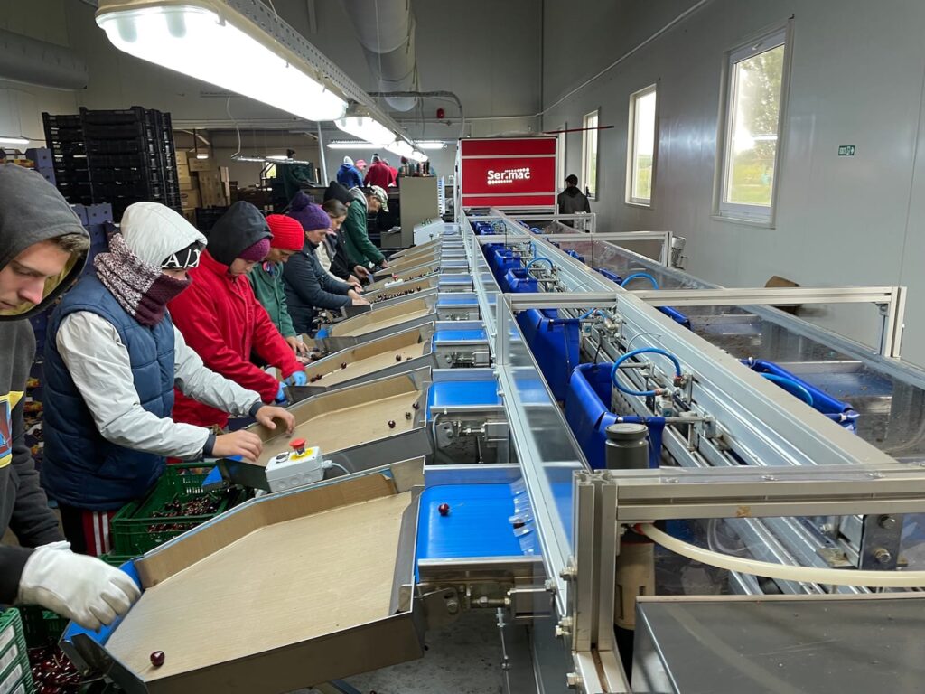 Spinosad, o soluție de origine naturală aprobată pentru agricultura ecologică, este o substanță activă extrem de eficientă în produsele insecticide dezvoltate de Corteva Agriscience, compania internațională de știință și tehnologie agricolă.