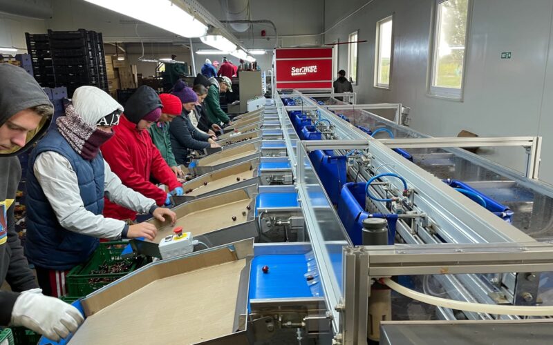 Spinosad, o soluție de origine naturală aprobată pentru agricultura ecologică, este o substanță activă extrem de eficientă în produsele insecticide dezvoltate de Corteva Agriscience, compania internațională de știință și tehnologie agricolă.