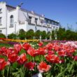 Această performanță demonstrează interesul constant al publicului pentru oferta culturală și educativă a GBAB, conform Universității Babeș-Bolyai (UBB).