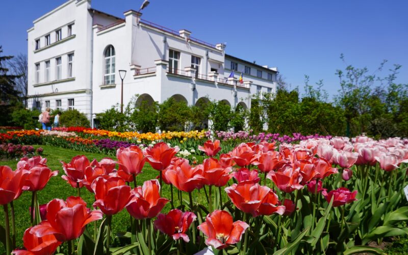 Această performanță demonstrează interesul constant al publicului pentru oferta culturală și educativă a GBAB, conform Universității Babeș-Bolyai (UBB).