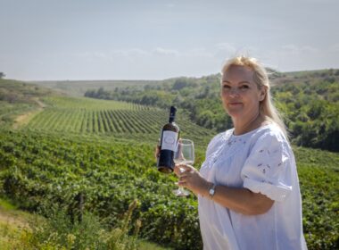 Domeniile Ostrov